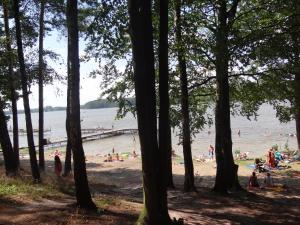 a group of people on a beach near the water at Letnisko BAJKA in Iława