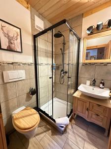 A bathroom at Lilly Chalet- Apartments with private sauna, close to ski lifts