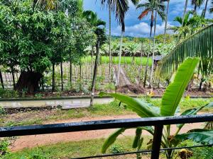 Taman di luar Blue Mountains View