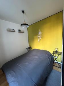 Postel nebo postele na pokoji v ubytování Appt entier rdc 1 chambre Allée d'Etigny