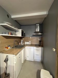 Kuchyň nebo kuchyňský kout v ubytování Appt entier rdc 1 chambre Allée d'Etigny