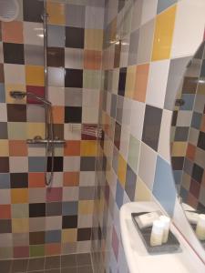 Koupelna v ubytování B&B Harskamp
