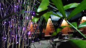 Glowbu Kabins外面的花园