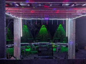 圣胡安Glowbu Kabins的相册照片