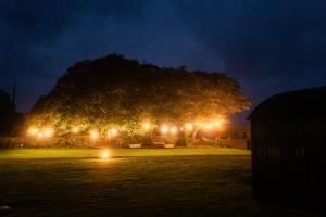 Zahrada ubytování Castledarcy Glamping
