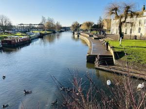 a river with ducks in the water and buildings at Peacocks Tearoom and Fine B and B in Ely