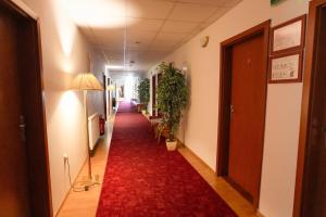 Afbeelding uit fotogalerij van Penzion Romantik in Dolná Streda