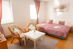 Afbeelding uit fotogalerij van Penzion Romantik in Dolná Streda