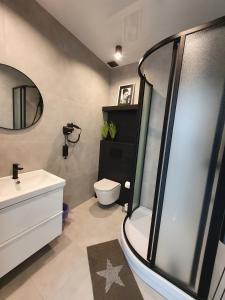 a bathroom with a shower and a toilet and a sink at Kwatery prywatne Lotnicza in Bielsko-Biala +27 photos