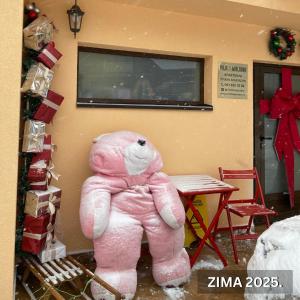 Fotografie z fotogalerie ubytování Vila Mirjana Tara v destinaci Kaludjerske Bare