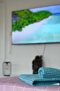 TV a/nebo společenská místnost v ubytování Schwarzwald Lahr Europapark Penthouse Sunshine + 43 fotografií