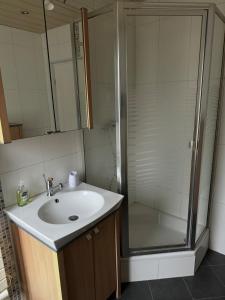 Koupelna v ubytování Beau duplex proche centre