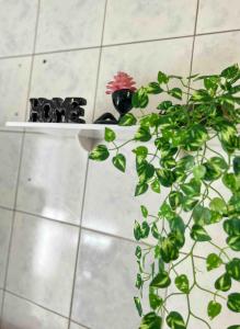 Galeriebild der Unterkunft Paulinos Flat, Ubajara CE in Ubajara