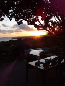 a sunset over the water with a bench and trees at Sumba Nautil Resort in Sumba