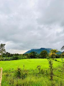 Landskap semula jadi dekat dengan homestay