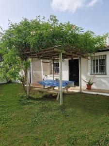 Ogród w obiekcie Las Casas de Las Flores