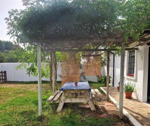 Ogród w obiekcie Las Casas de Las Flores