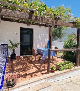 Ogród w obiekcie Las Casas de Las Flores