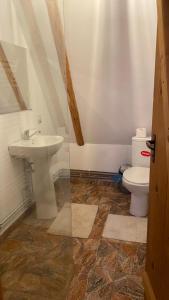 a bathroom with a sink and a toilet at Poiana Creasta Cocosului-Casa Papadie in Breb