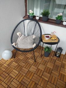 Posezení v ubytování Balkan HOME