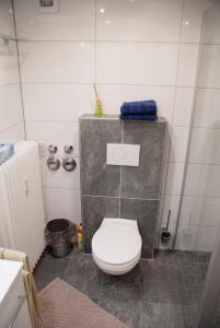 a small bathroom with a toilet and a sink at Aaltine 1 in Bad Bentheim