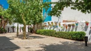 Fotografia z galérie ubytovania Chic Uurban Oasis in Estepona v destinácii Estepona
