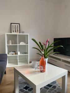 Μια τηλεόραση ή/και κέντρο ψυχαγωγίας στο Balance Apartments by M&A Gartenstraße City