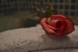 Fotografie z fotogalerie ubytování Riad Hôtel Belleville Marrakech v Marrákéši