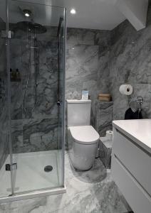 a bathroom with a toilet and a shower at West Lyn Farm Bed & Breakfast in Lynton