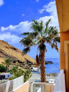 a palm tree on a beach next to the ocean at Veliero en Costa Sol M13 in Costa Del Silencio
