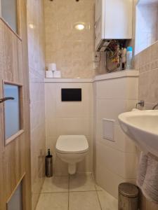 コヴァチョヴァにあるApartman Kováčováのトイレと洗面台のある小さなバスルーム +7枚の写真