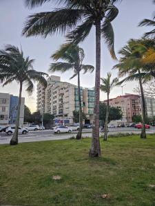 a group of palm trees in a park near a street at Loft em Jardim da Penha - na orla in Vitória +43 photos