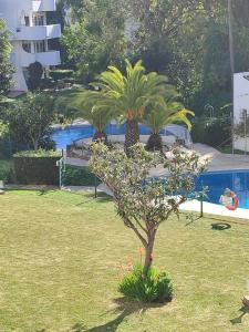 ein Baum in einem Park mit Palmen und einem Pool in der Unterkunft Pinos de Calahonda duplex in Sitio de Calahonda