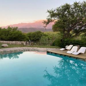 Un grupo de sillas blancas junto a una piscina. en Posada La Valentina, en Villa Las Rosas