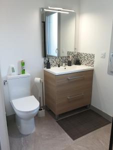 une salle de bain avec toilettes, lavabo et miroir dans l'établissement Meublé de tourisme classé 3 étoiles Le Ptit Coin de Soleil - Saint Ciers d'Abzac, à Saint-Ciers-dʼAbzac