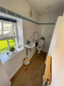 un bagno con un water, un lavandino e una finestra di Cottage Apartment Near Lancaster University a Galgate