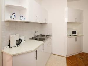 Kuchyň nebo kuchyňský kout v ubytování Apartments Dragica