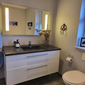 a bathroom with a sink and a toilet at Johannas' have in Faaborg +16 photos