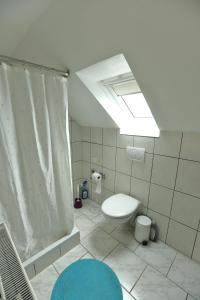 a bathroom with a toilet and a shower with a skylight at Wohnung Dachterrasse 3 in Brühl +11 photos