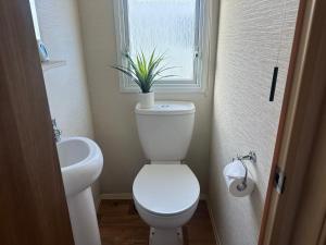 a bathroom with a toilet and a sink and a plant at Homely 3 Bedroom Caravan in Cirencester in South Cerney +11 photos