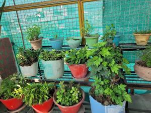 Gallery image of BITS CAMPUs in Varanasi +19 photos