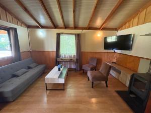 a living room with a couch and a tv at Cabañas San Agustín in Panguipulli