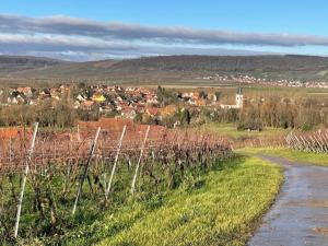 a field with a fence and a village in the background at La chambre d hôtes By Georges in Scharrachbergheim Irmstett