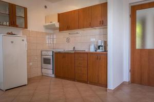 Kuchyňa alebo kuchynka v ubytovaní Apartments Brane