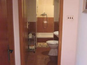 a bathroom with a toilet and a bath tub at Apartment Katija in Žirje