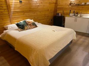 Η κουζίνα ή μικρή κουζίνα στο Skema Collections Quito