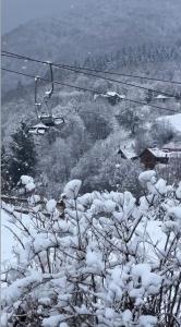 Το SVOI Chalet τον χειμώνα +84 φωτογραφίες