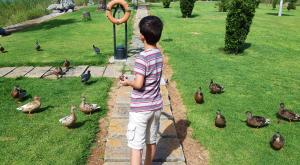 Goście zatrzymujący się w obiekcie Eix Lagotel Holiday Resort