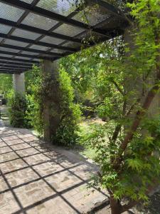 une allée ombragée avec un toit et un arbre dans l'établissement Shamrock House - Casa de Vacaciones en Merlo, San Luis, à Merlo