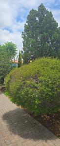 Gallery image of Nature's Retreat in Willowdene